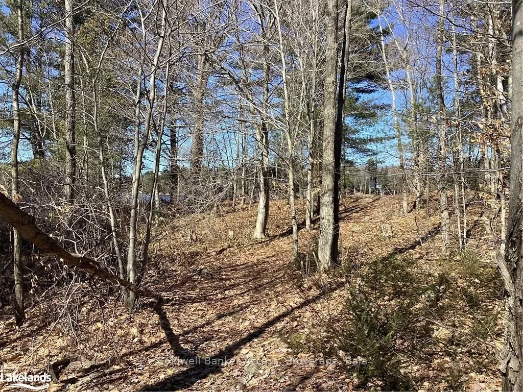 38 HAWKINS POINT Road