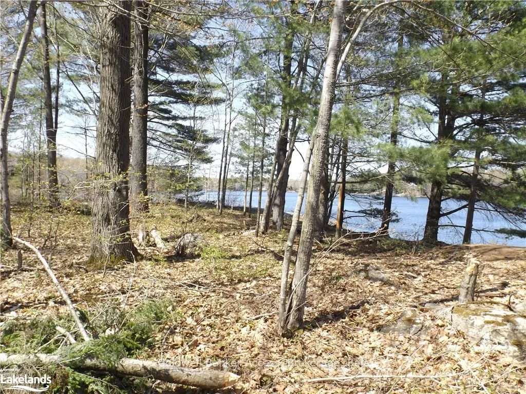 38 HAWKINS POINT Road