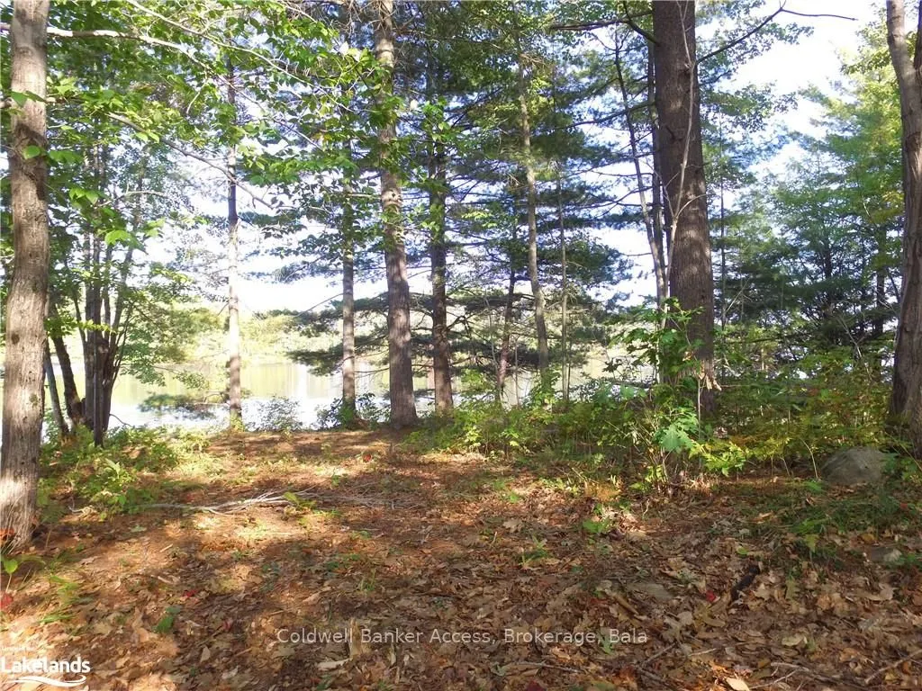 38 HAWKINS POINT Road