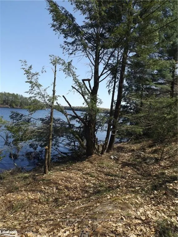 38 HAWKINS POINT Road