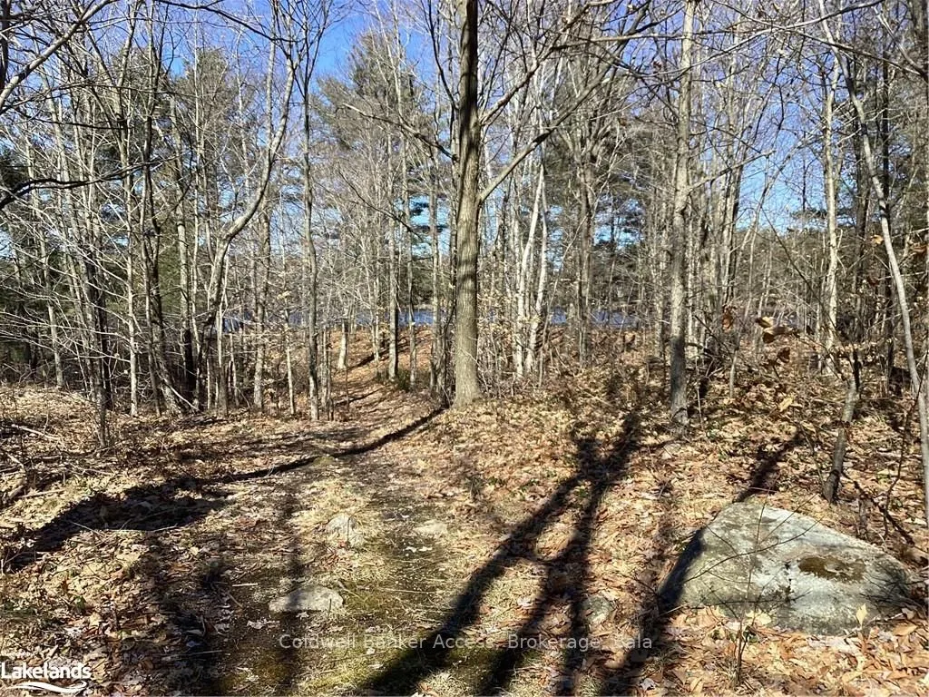 38 HAWKINS POINT Road