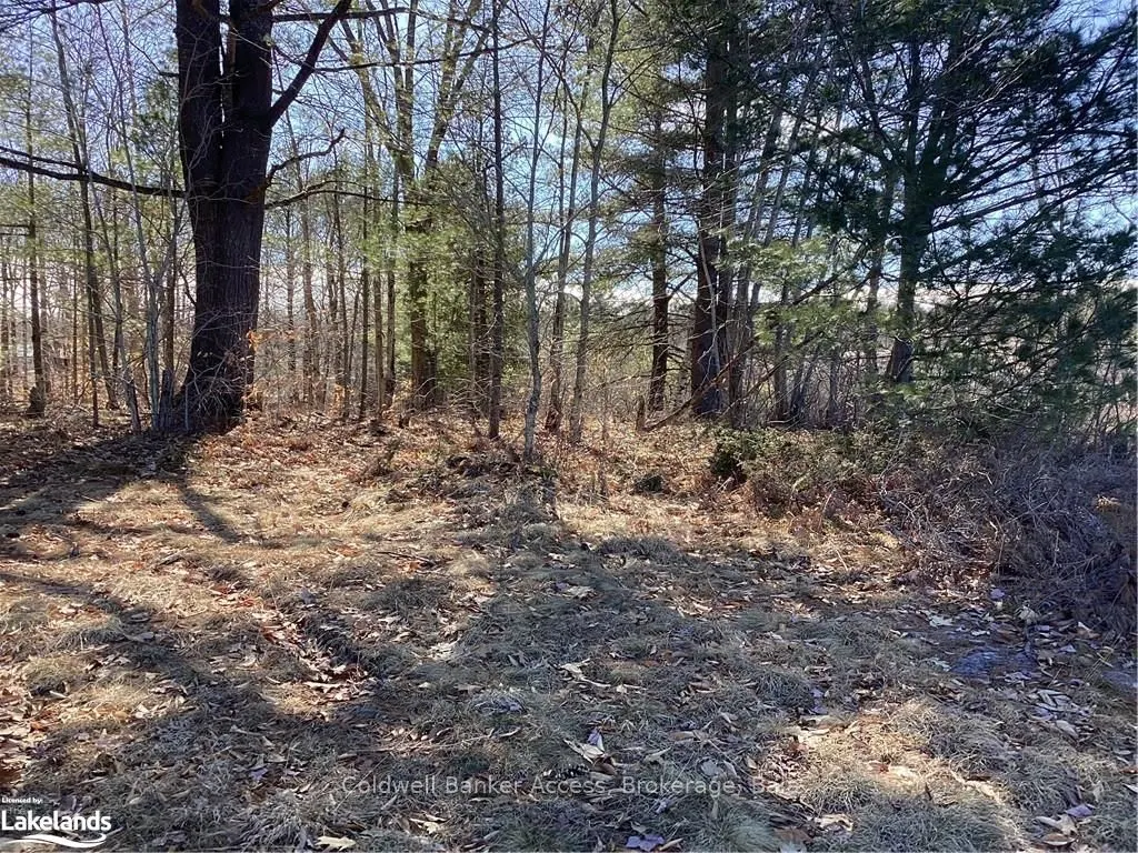 38 HAWKINS POINT Road
