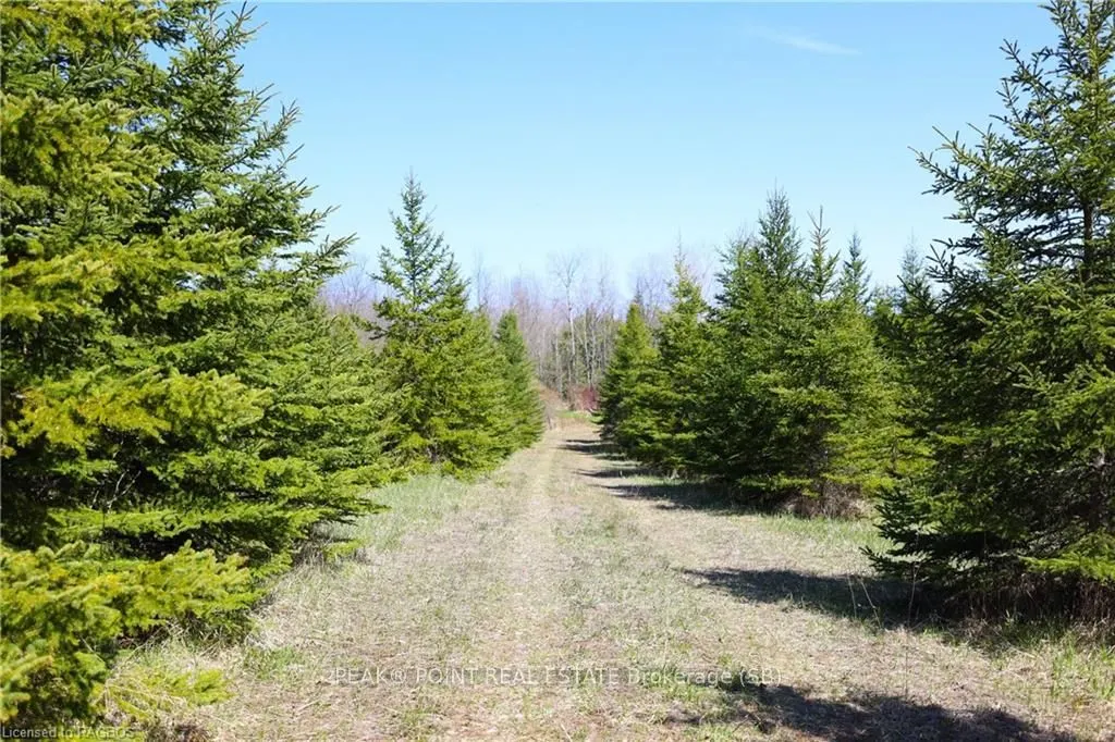 341029 CONCESSION 14