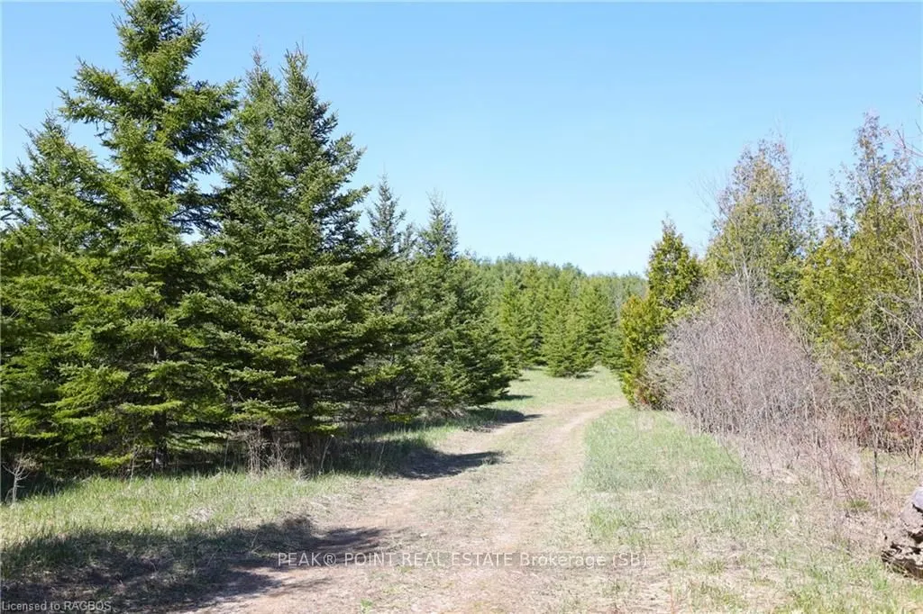 341029 CONCESSION 14