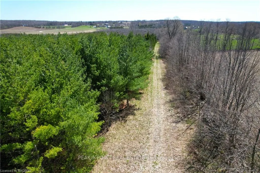 341029 CONCESSION 14