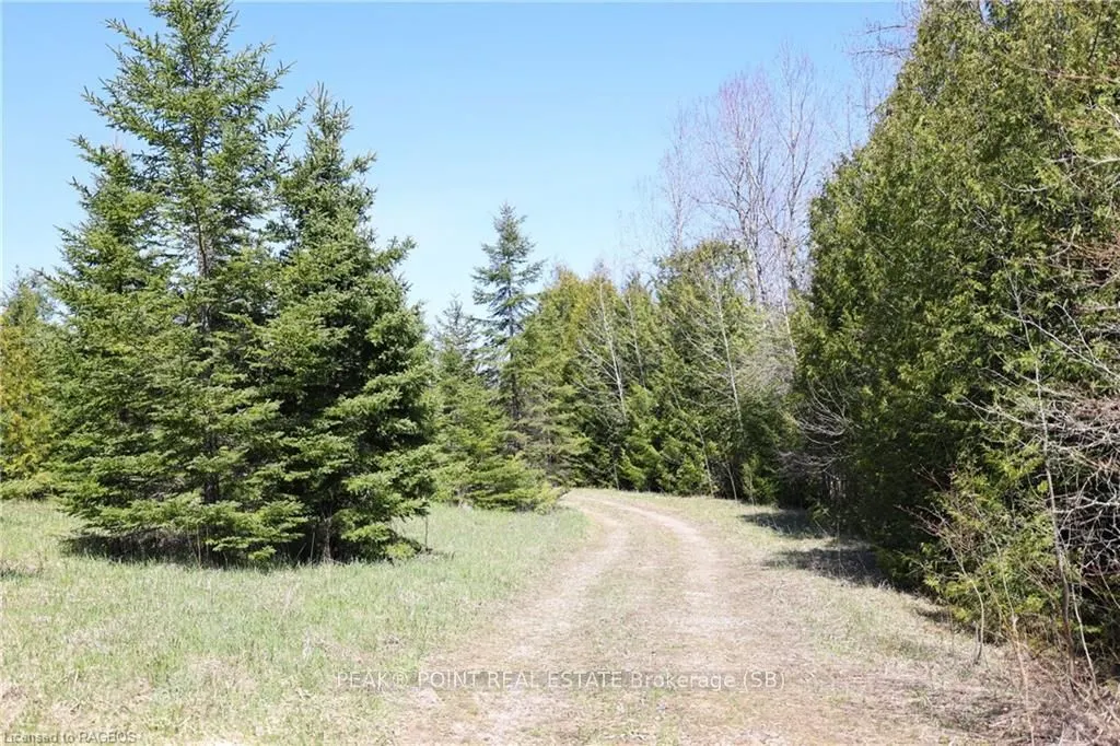 341029 CONCESSION 14