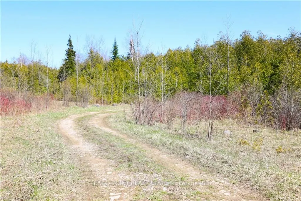 341029 CONCESSION 14