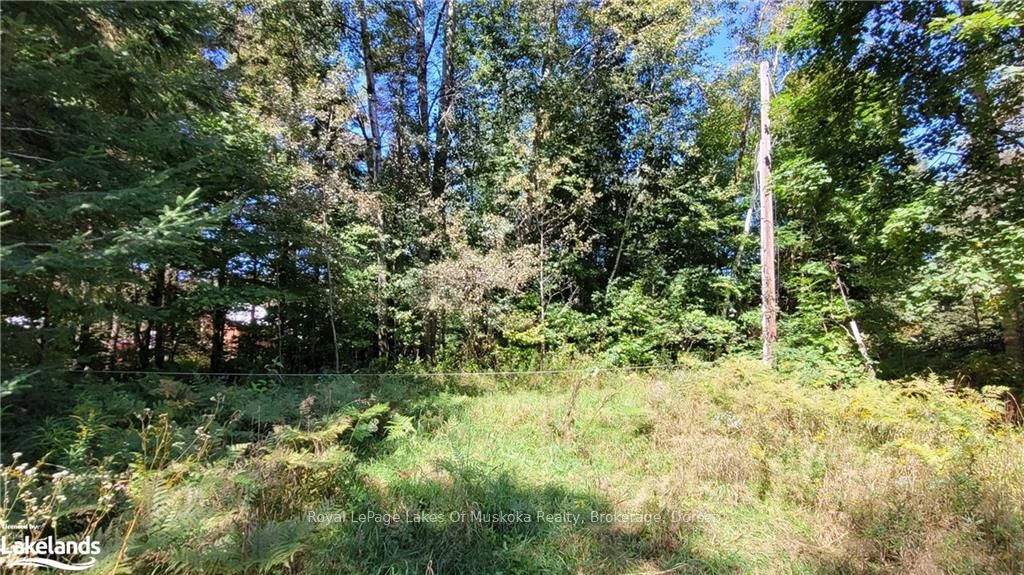 1059 ABLETT COURT