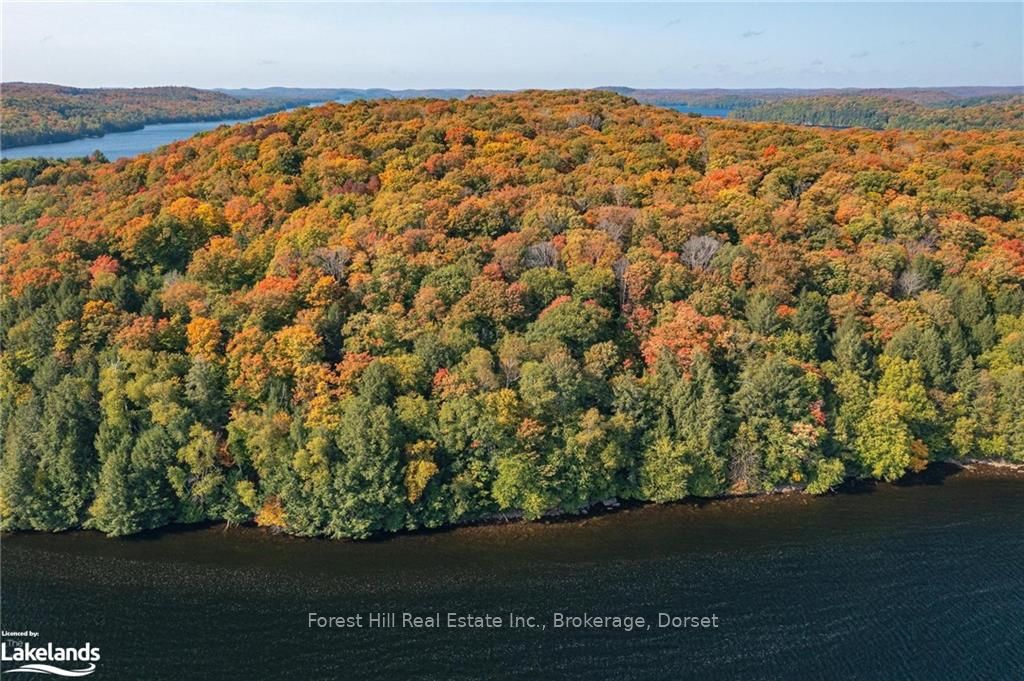 0 BEAR ISLAND
