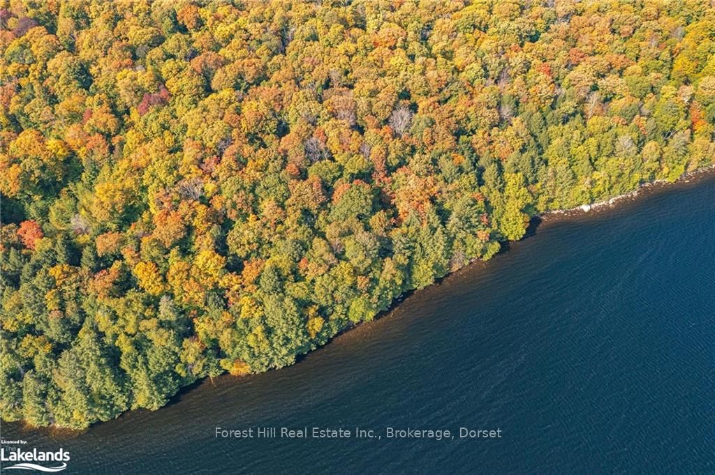 0 BEAR ISLAND