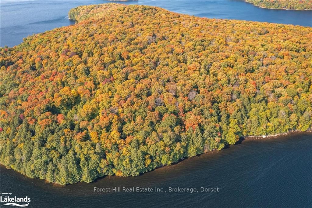 0 BEAR ISLAND
