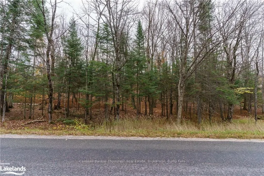 0 AHMIC LAKE Road