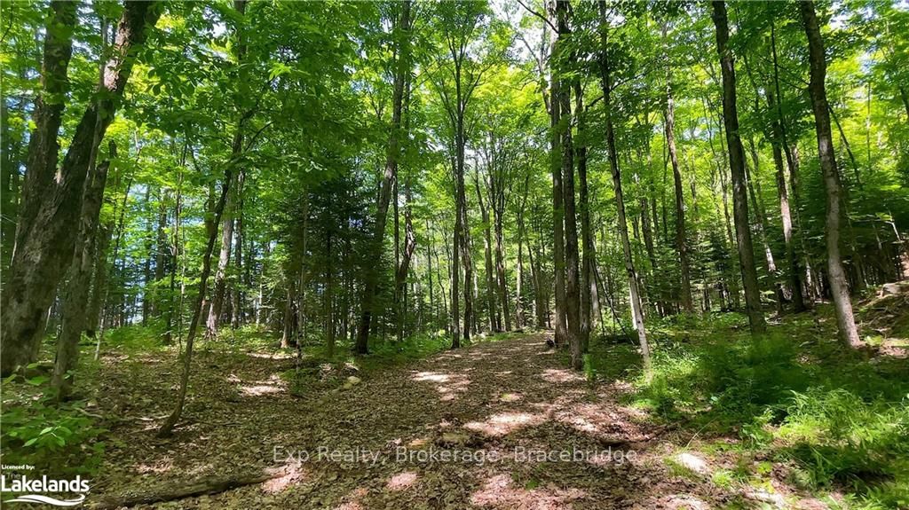 LOT 4 GONNSEN Trail