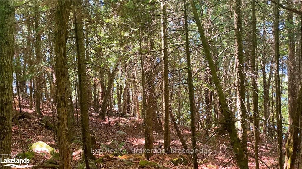 LOT 4 GONNSEN Trail