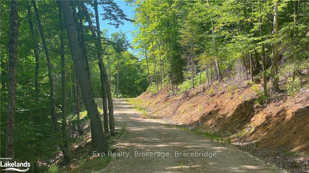 LOT 4 GONNSEN Trail