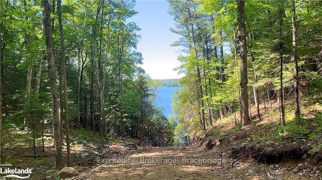 LOT 4 GONNSEN Trail