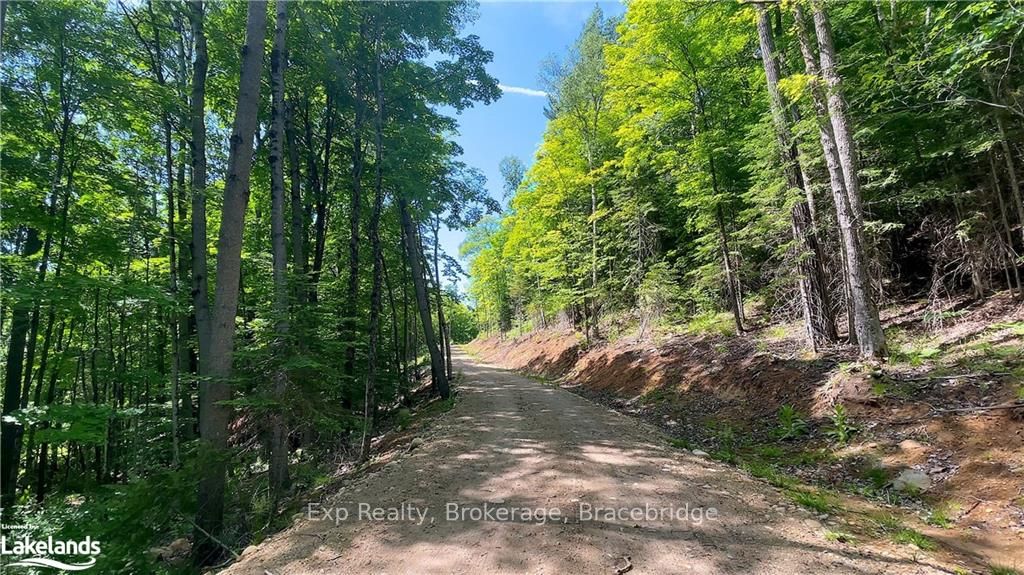 LOT 4 GONNSEN Trail