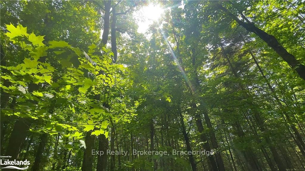 LOT 4 GONNSEN Trail
