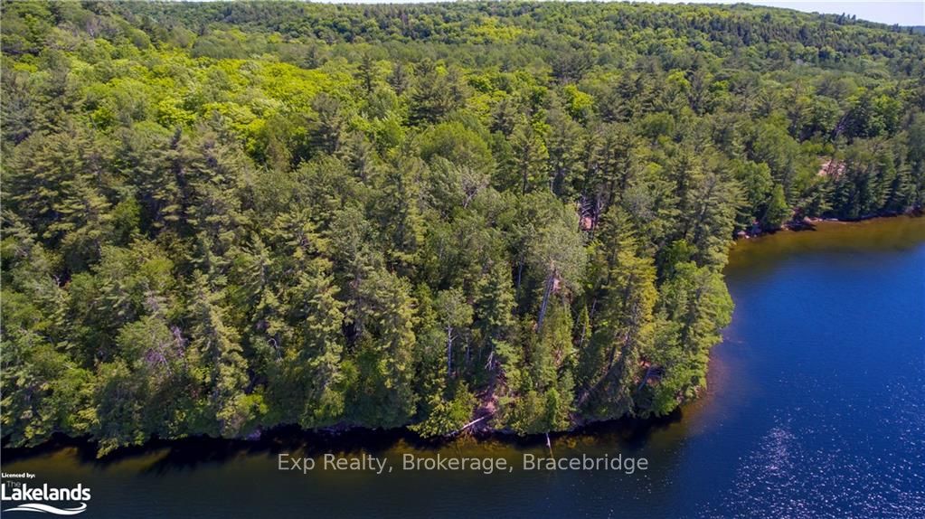 LOT 4 GONNSEN Trail
