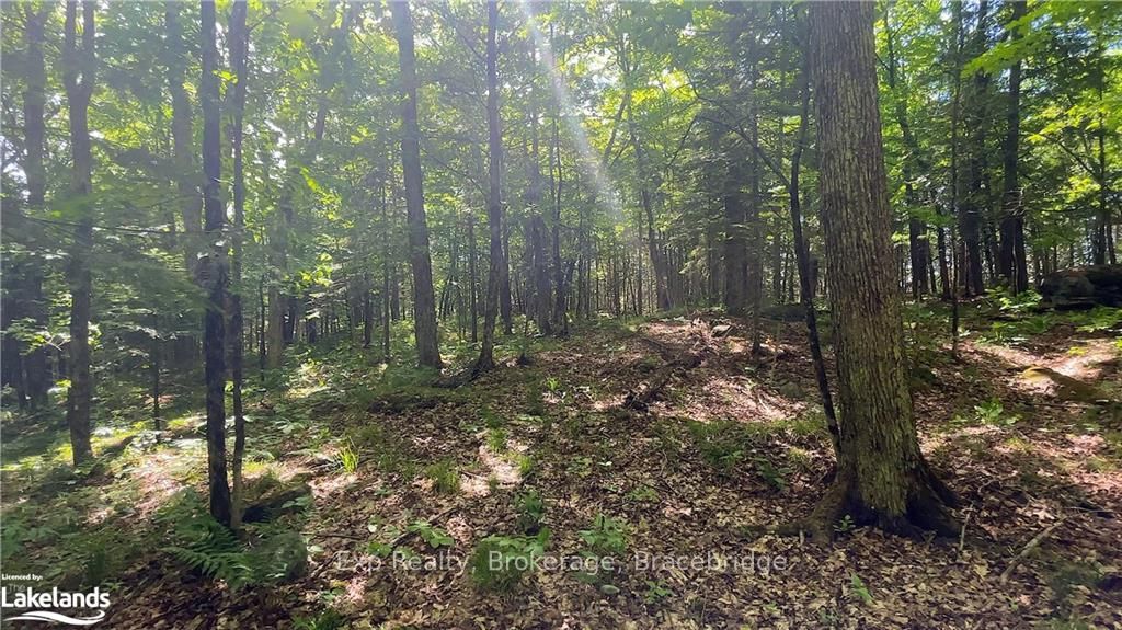 LOT 4 GONNSEN Trail