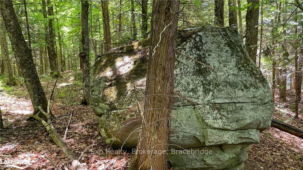 LOT 4 GONNSEN Trail