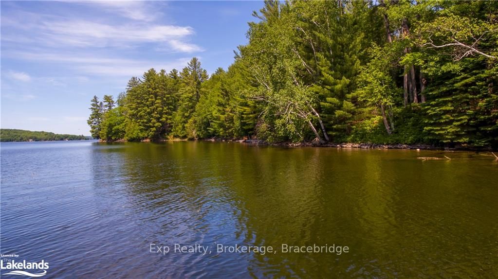 LOT 4 GONNSEN Trail