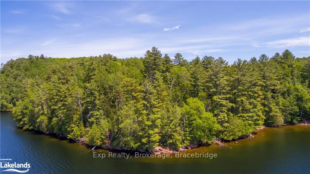 LOT 4 GONNSEN Trail