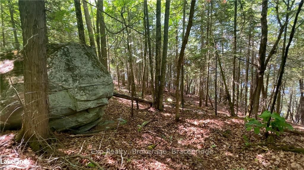 LOT 4 GONNSEN Trail