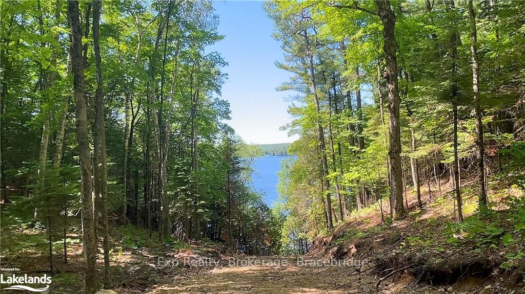 LOT 5 GONNSEN Trail