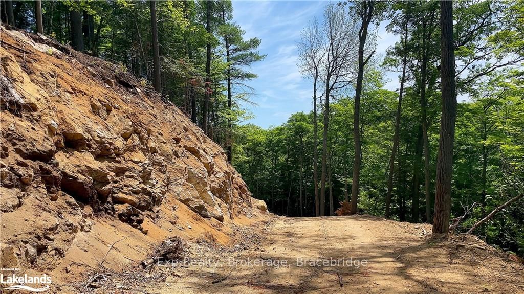 LOT 5 GONNSEN Trail