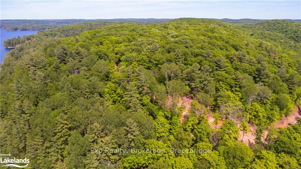 LOT 5 GONNSEN Trail