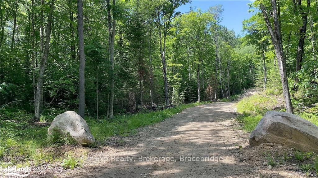 LOT 5 GONNSEN Trail
