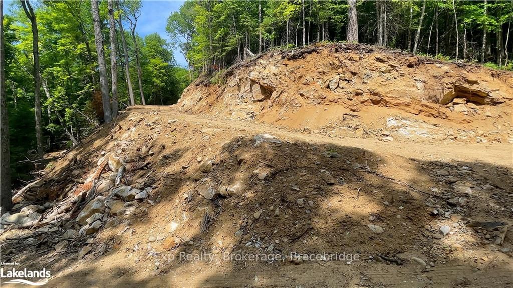 LOT 5 GONNSEN Trail