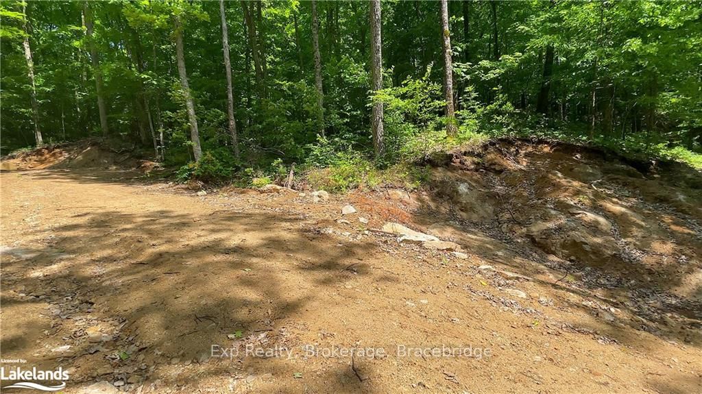 LOT 5 GONNSEN Trail