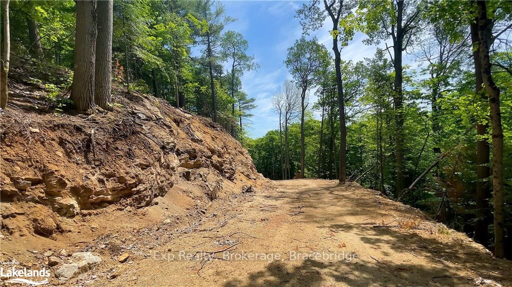 LOT 5 GONNSEN Trail