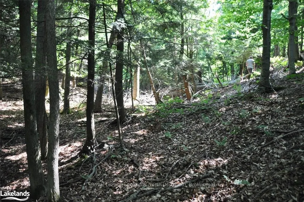 LOT 21 BAYSHORE Road