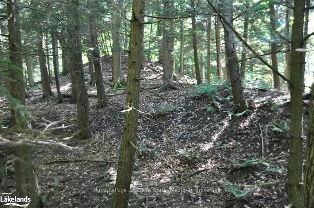 LOT 21 BAYSHORE Road