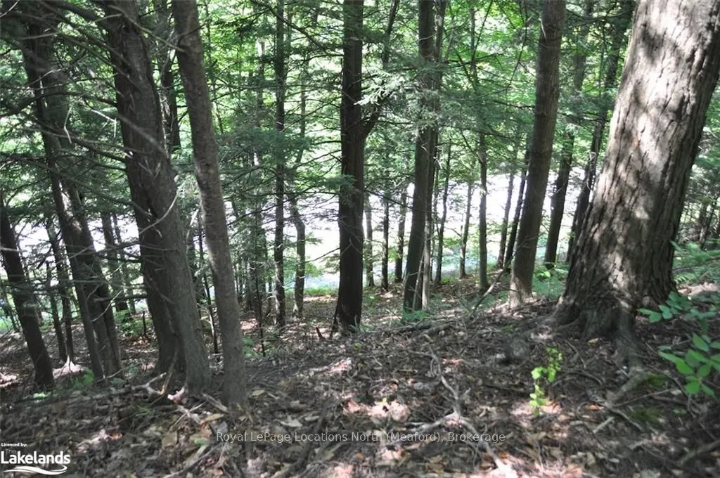 LOT 21 BAYSHORE Road
