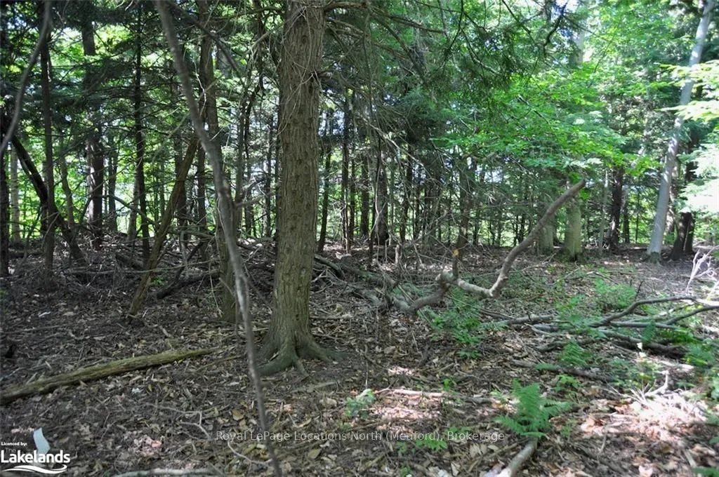 LOT 21 BAYSHORE Road