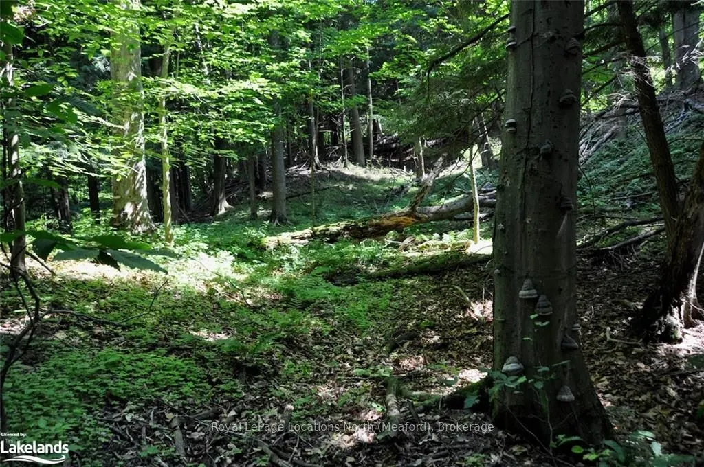 LOT 21 BAYSHORE Road