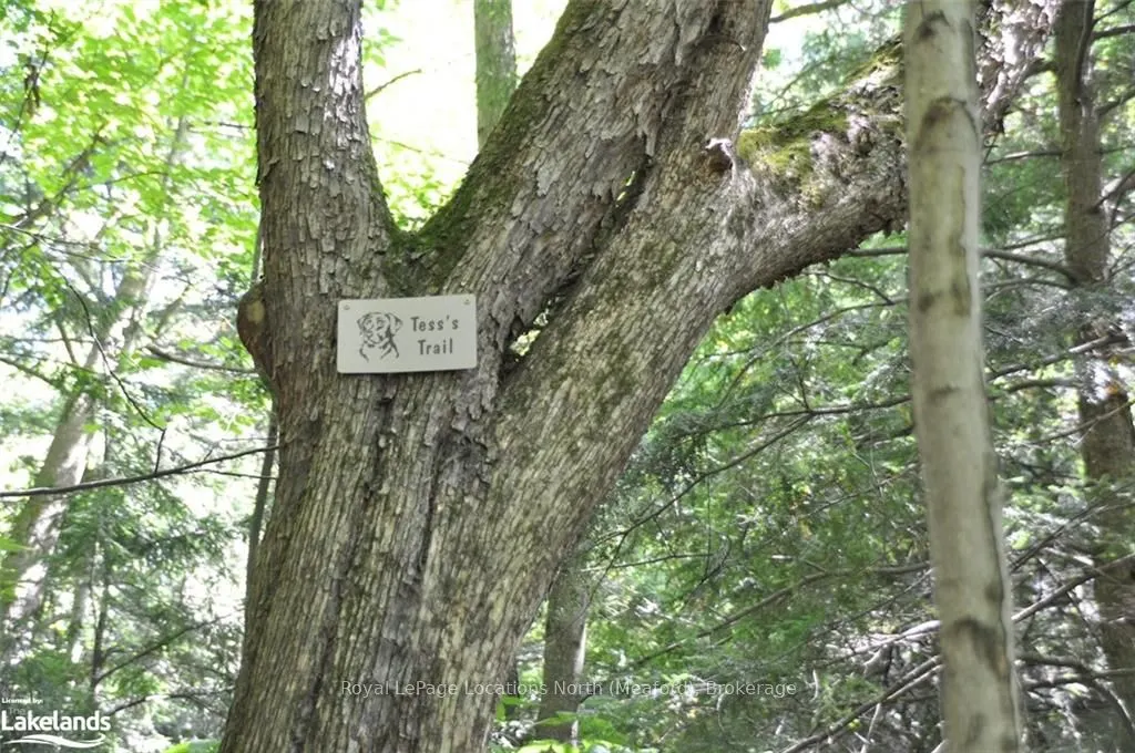 LOT 21 BAYSHORE Road