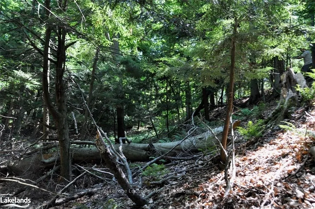 LOT 21 BAYSHORE Road