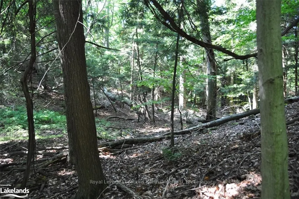 LOT 21 BAYSHORE Road