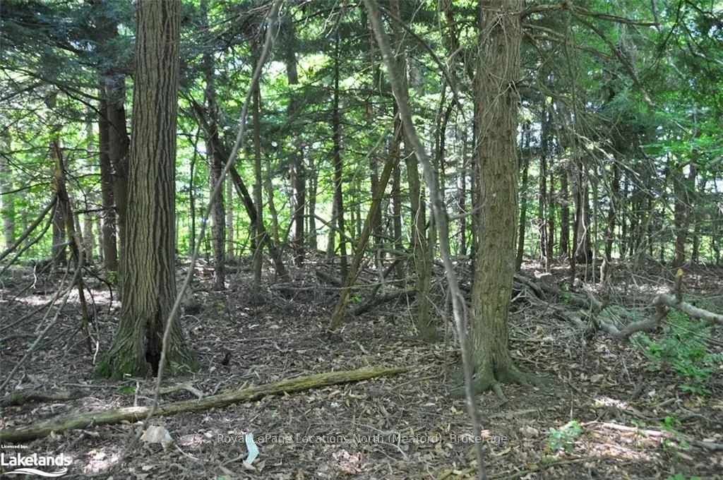 LOT 21 BAYSHORE Road