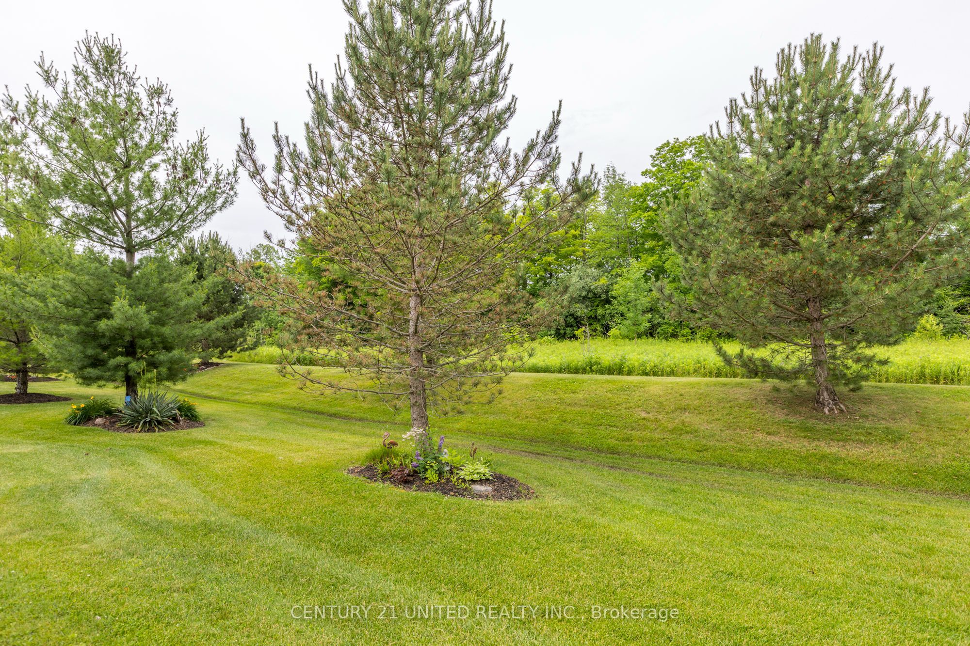 301 Carnegie Avenue, #17