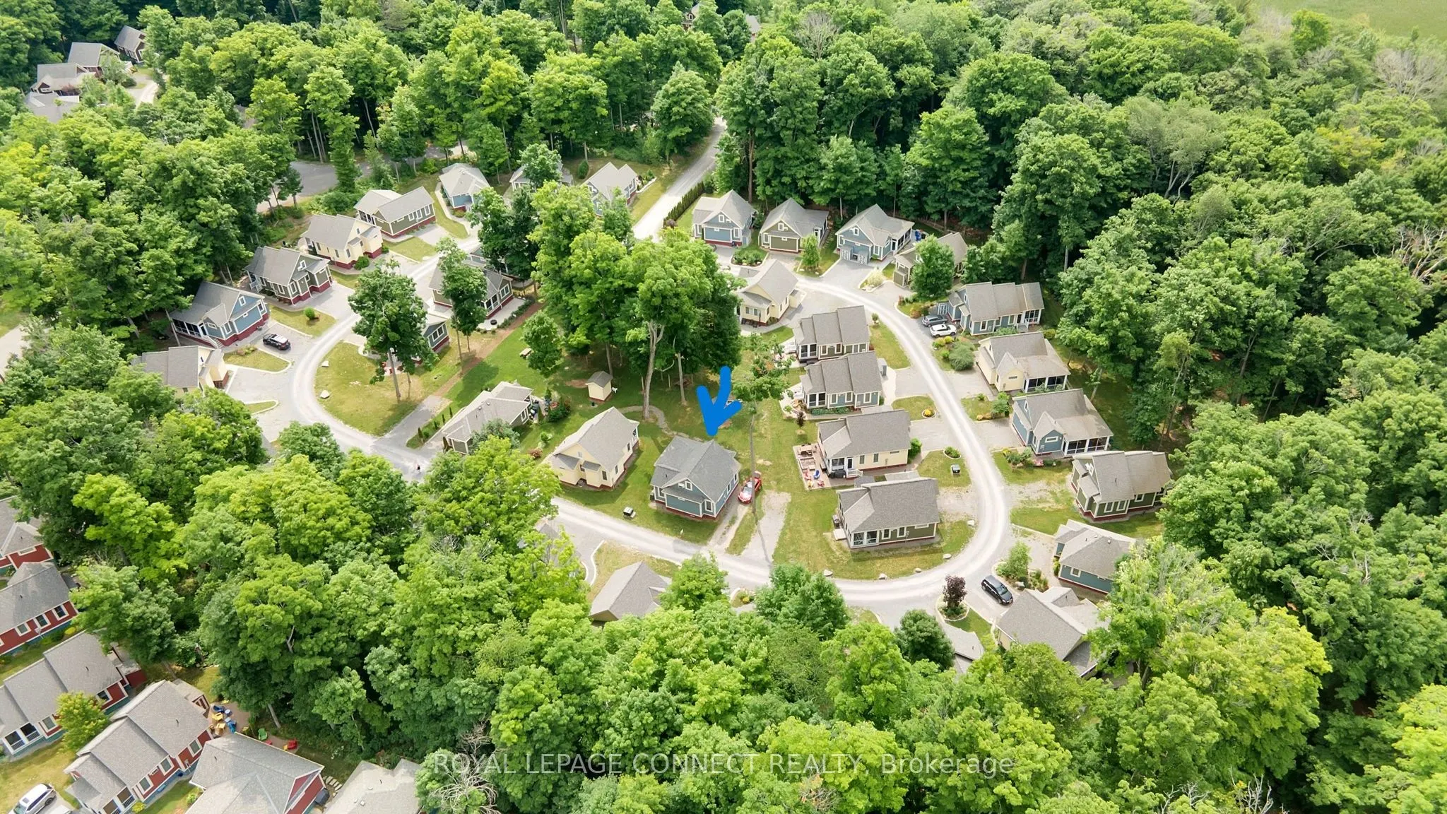11 Hollow Lane #219