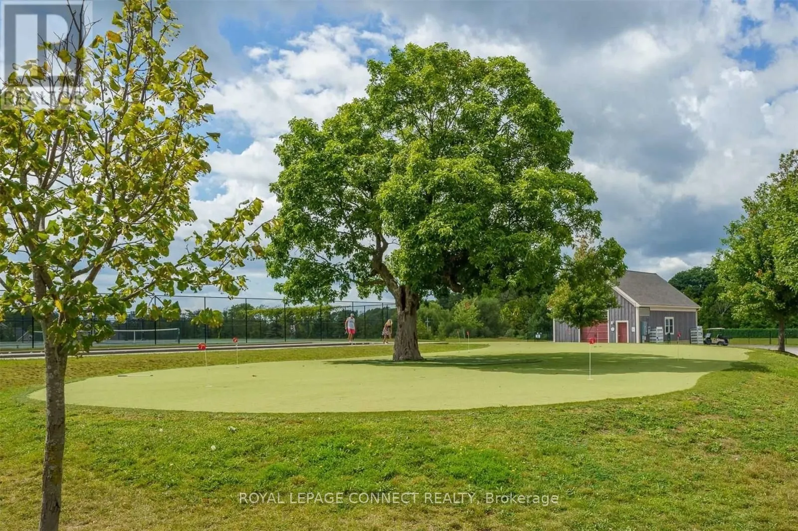 11 Hollow Lane #219
