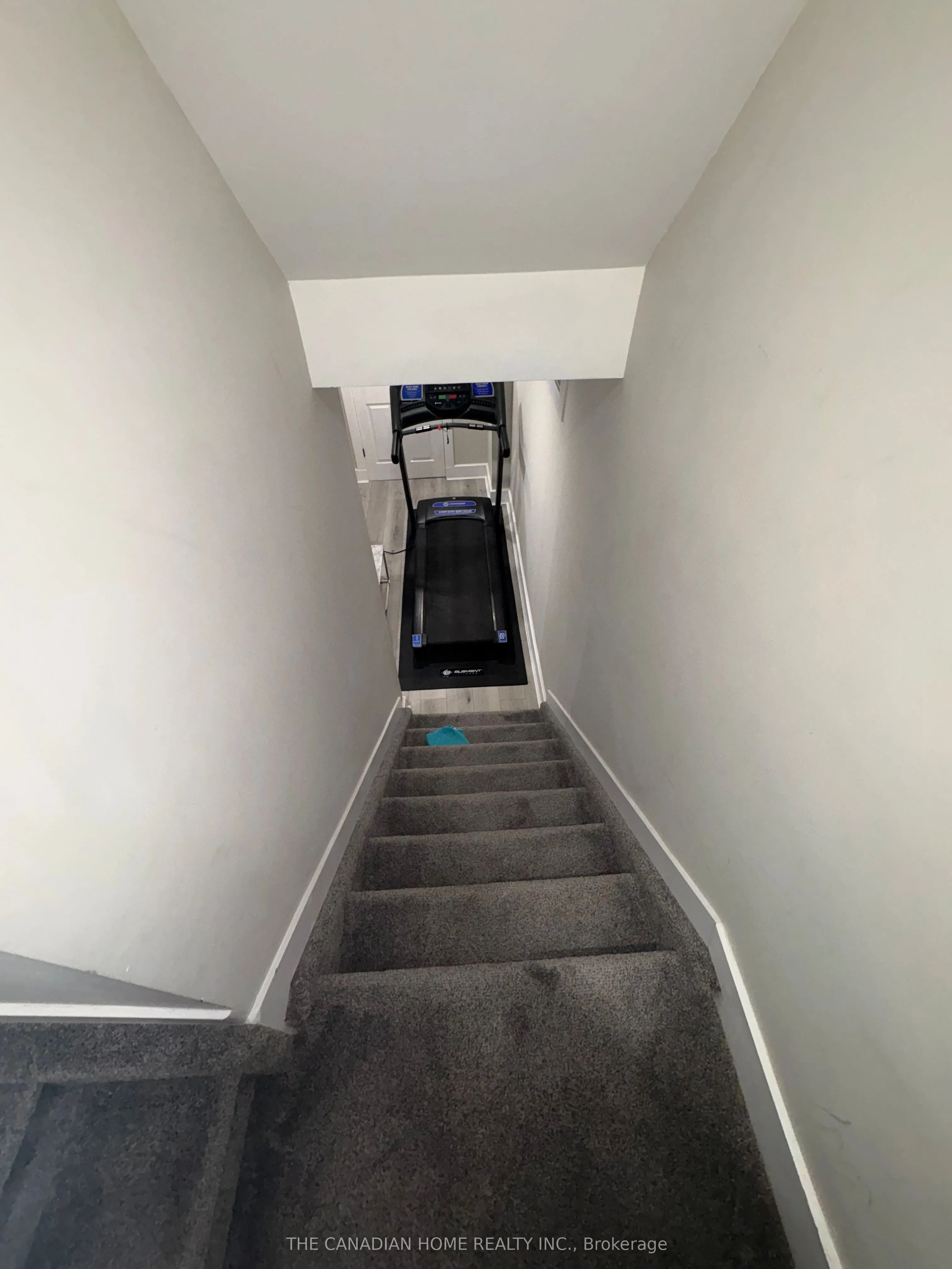 56 Poplar Drive