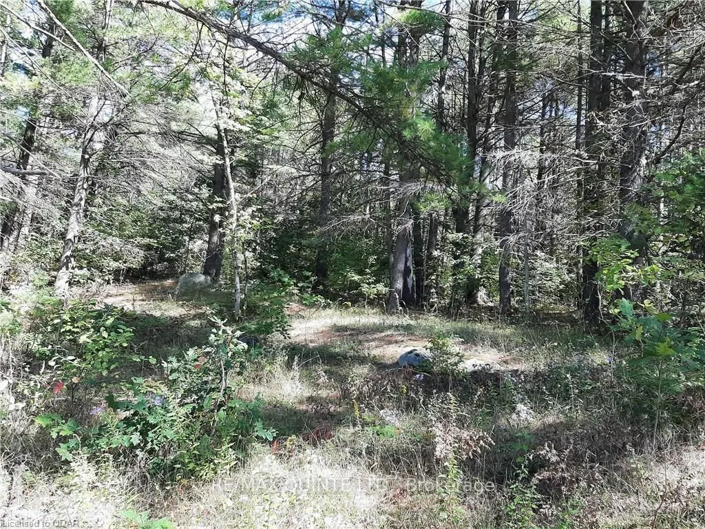 0 PT LT12 CON14 Hwy 37 Road