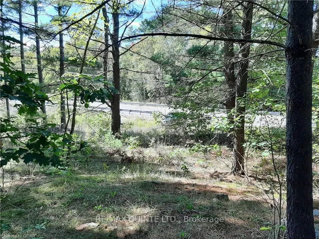 0 PT LT12 CON14 Hwy 37 Road